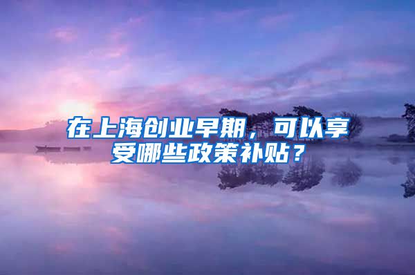 在上海创业早期，可以享受哪些政策补贴？