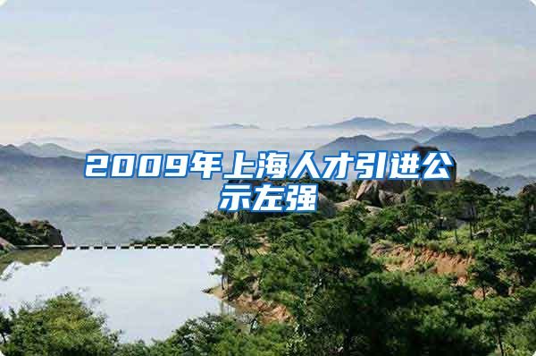 2009年上海人才引进公示左强