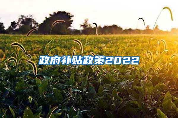 政府补贴政策2022