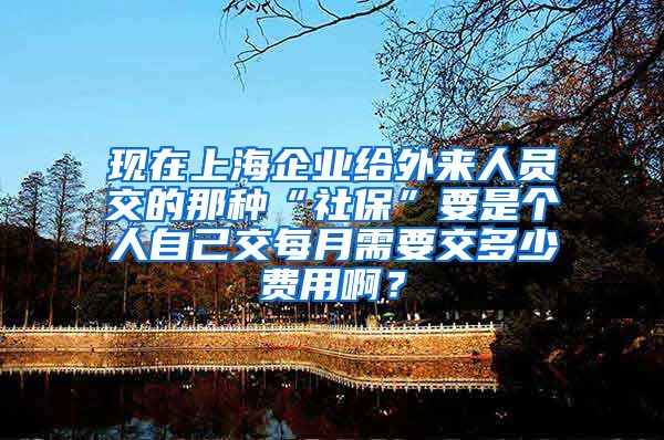 现在上海企业给外来人员交的那种“社保”要是个人自己交每月需要交多少费用啊？