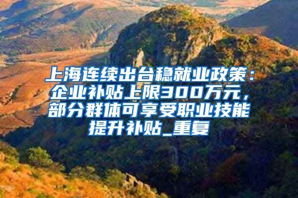 上海连续出台稳就业政策：企业补贴上限300万元，部分群体可享受职业技能提升补贴_重复