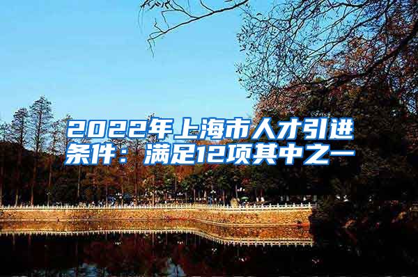 2022年上海市人才引进条件：满足12项其中之一