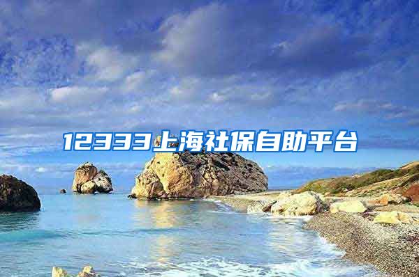 12333上海社保自助平台