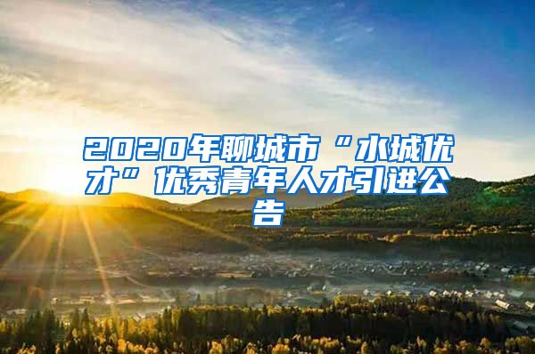 2020年聊城市“水城优才”优秀青年人才引进公告