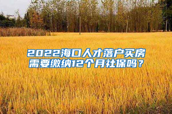 2022海口人才落户买房需要缴纳12个月社保吗？