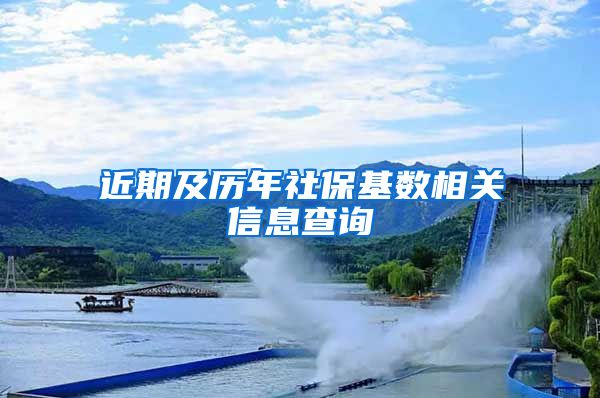 近期及历年社保基数相关信息查询