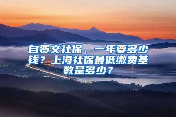 自费交社保，一年要多少钱？上海社保最低缴费基数是多少？