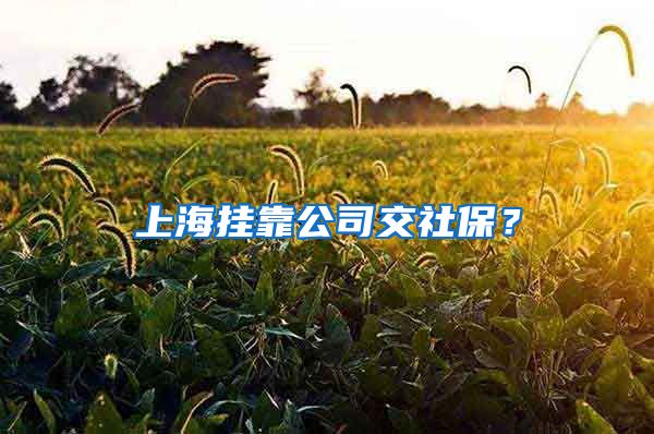 上海挂靠公司交社保？