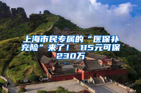 上海市民专属的“医保补充险”来了！ 115元可保230万→