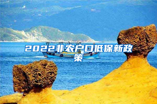 2022非农户口低保新政策