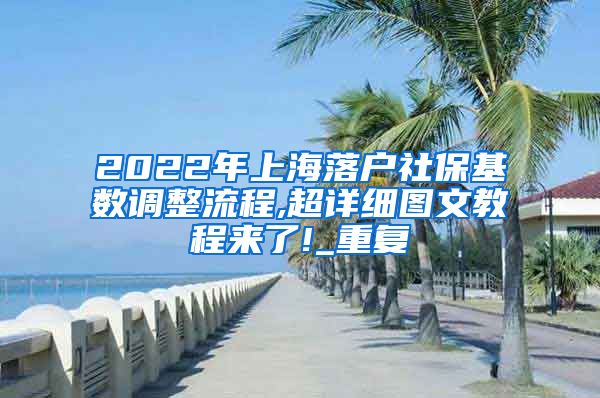 2022年上海落户社保基数调整流程,超详细图文教程来了!_重复
