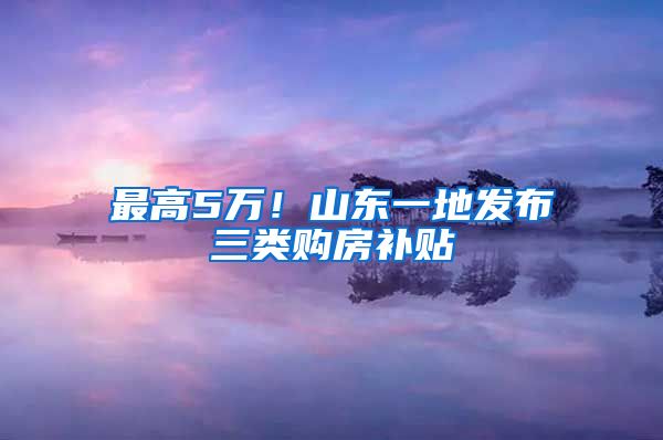 最高5万！山东一地发布三类购房补贴