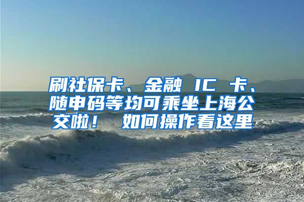 刷社保卡、金融 IC 卡、随申码等均可乘坐上海公交啦！ 如何操作看这里