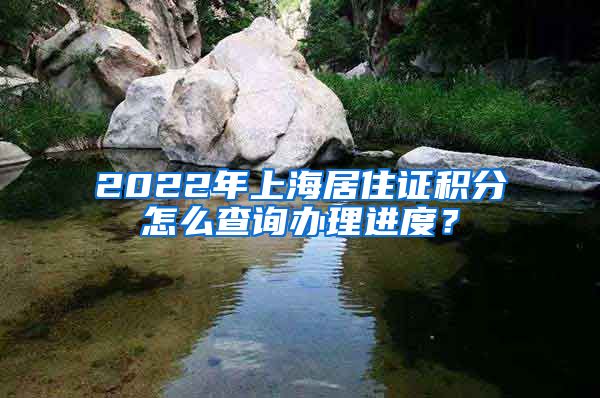 2022年上海居住证积分怎么查询办理进度？