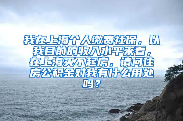 我在上海个人缴费社保，以我目前的收入水平来看，在上海买不起房，请问住房公积金对我有什么用处吗？