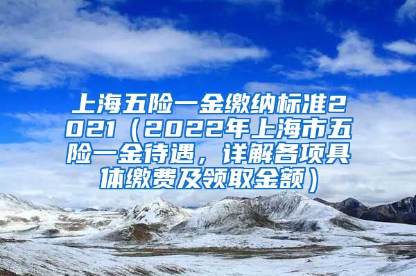 上海五险一金缴纳标准2021（2022年上海市五险一金待遇，详解各项具体缴费及领取金额）