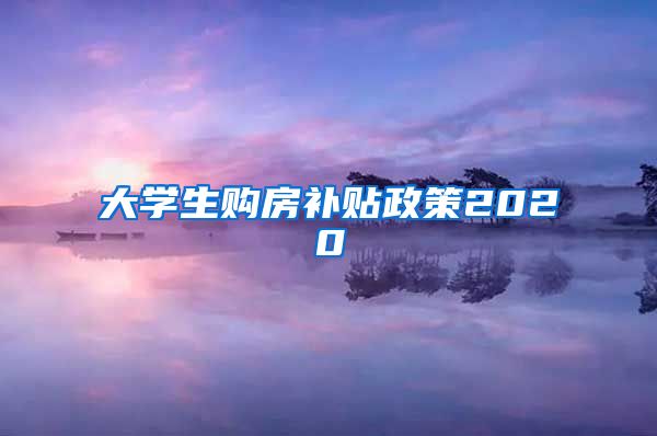 大学生购房补贴政策2020