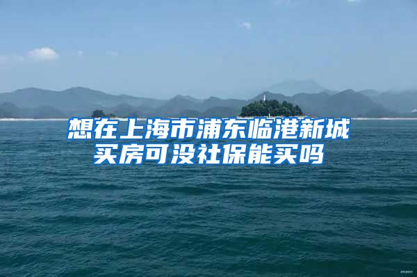 想在上海市浦东临港新城买房可没社保能买吗