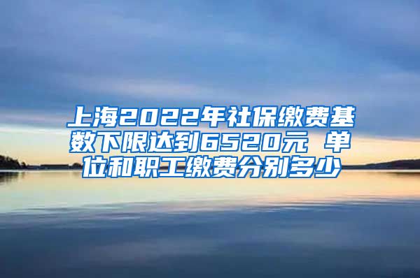 上海2022年社保缴费基数下限达到6520元 单位和职工缴费分别多少