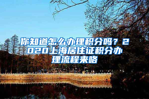 你知道怎么办理积分吗？2020上海居住证积分办理流程来咯