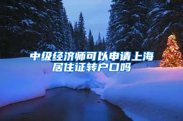 中级经济师可以申请上海居住证转户口吗