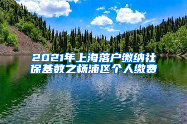 2021年上海落户缴纳社保基数之杨浦区个人缴费