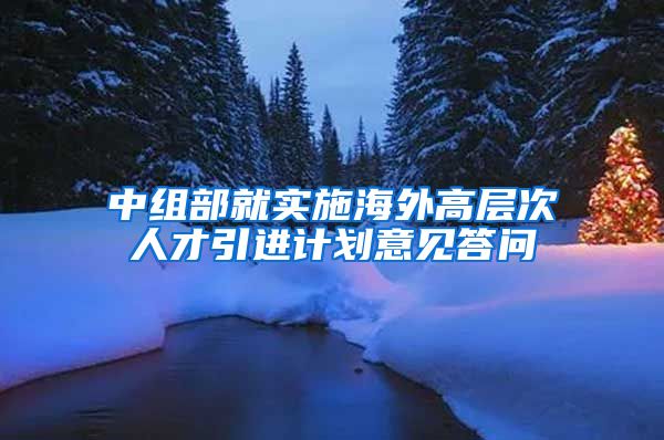 中组部就实施海外高层次人才引进计划意见答问