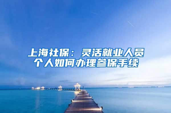 上海社保：灵活就业人员个人如何办理参保手续