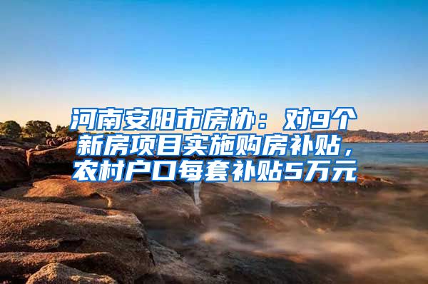 河南安阳市房协：对9个新房项目实施购房补贴，农村户口每套补贴5万元