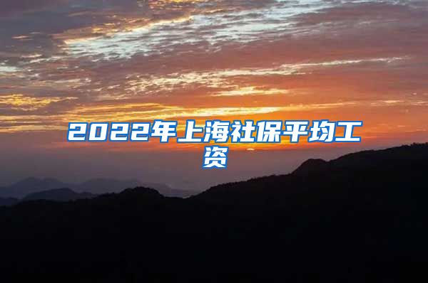 2022年上海社保平均工资