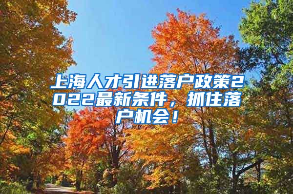 上海人才引进落户政策2022最新条件，抓住落户机会！