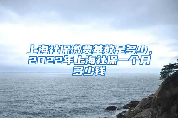 上海社保缴费基数是多少，2022年上海社保一个月多少钱