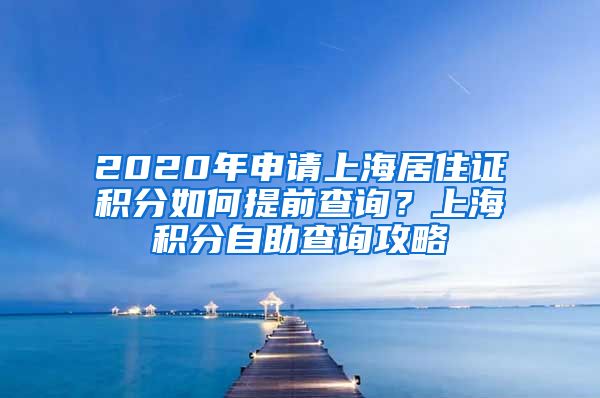 2020年申请上海居住证积分如何提前查询？上海积分自助查询攻略