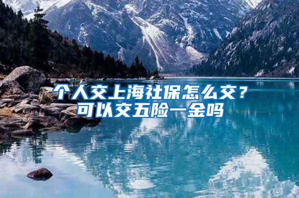 个人交上海社保怎么交？可以交五险一金吗