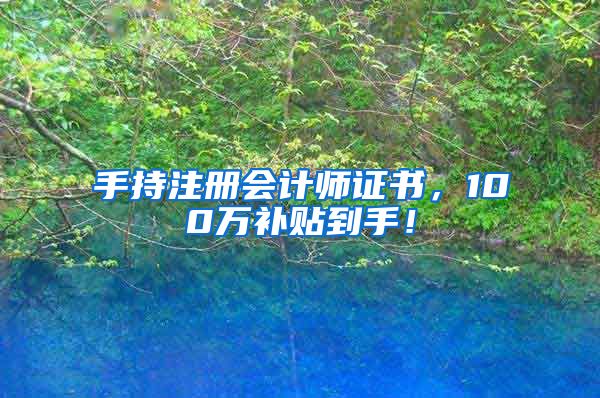 手持注册会计师证书，100万补贴到手！