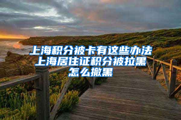 上海积分被卡有这些办法 上海居住证积分被拉黑 怎么撤黑