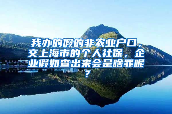 我办的假的非农业户口，交上海市的个人社保，企业假如查出来会是啥罪呢？