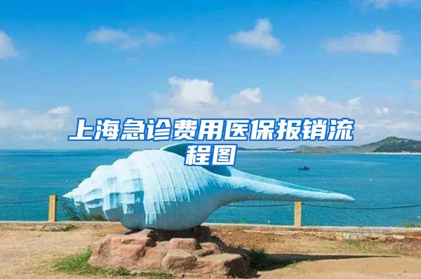 上海急诊费用医保报销流程图