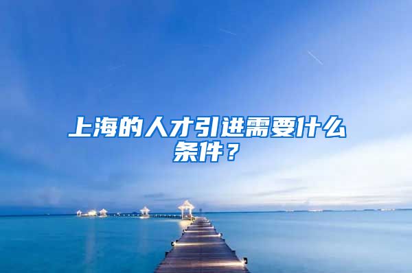 上海的人才引进需要什么条件？