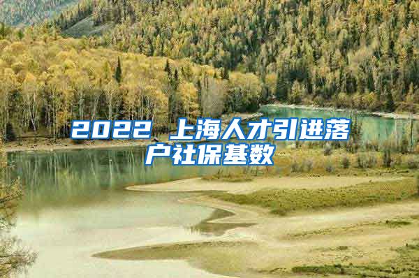 2022 上海人才引进落户社保基数