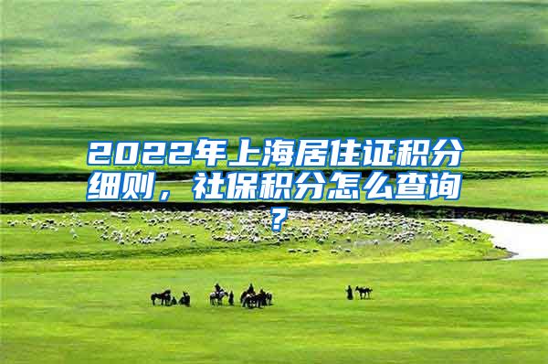 2022年上海居住证积分细则，社保积分怎么查询？