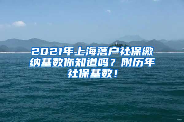 2021年上海落户社保缴纳基数你知道吗？附历年社保基数！