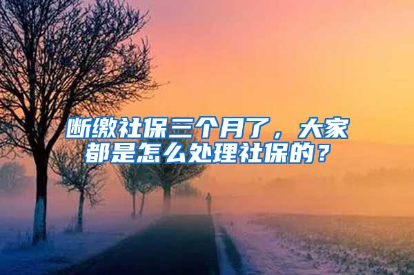 断缴社保三个月了，大家都是怎么处理社保的？