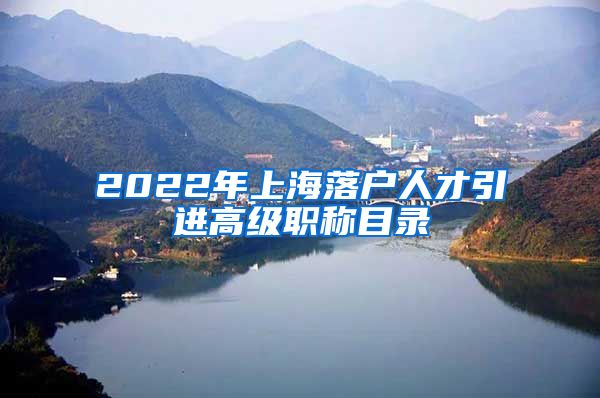 2022年上海落户人才引进高级职称目录