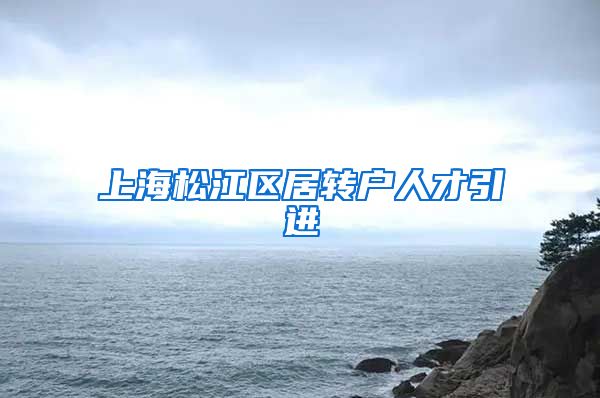 上海松江区居转户人才引进