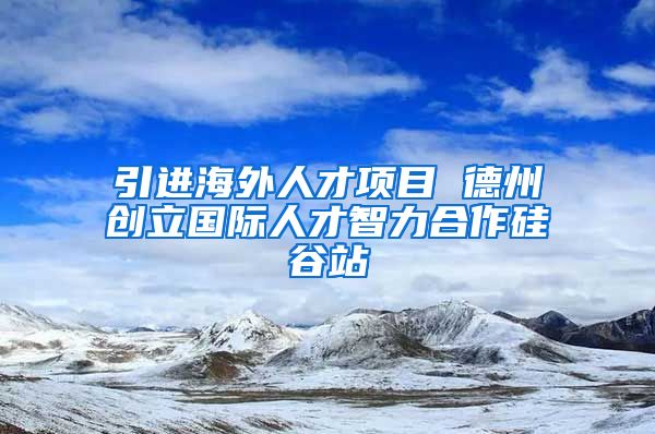 引进海外人才项目 德州创立国际人才智力合作硅谷站