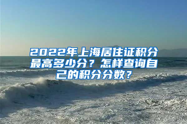 2022年上海居住证积分最高多少分？怎样查询自己的积分分数？