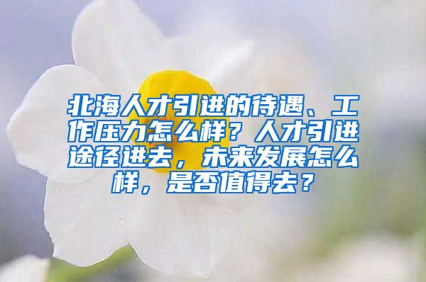 北海人才引进的待遇、工作压力怎么样？人才引进途径进去，未来发展怎么样，是否值得去？