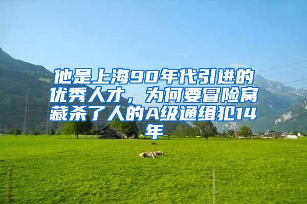 他是上海90年代引进的优秀人才，为何要冒险窝藏杀了人的A级通缉犯14年