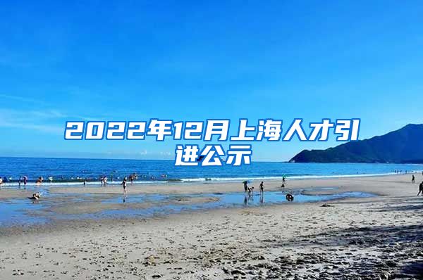 2022年12月上海人才引进公示